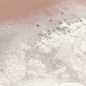 Life on Mars