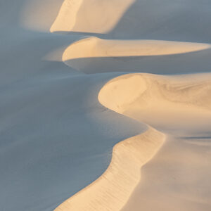 Soft Dunes